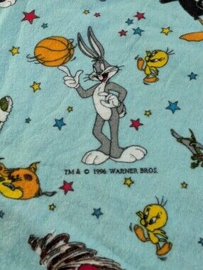 Vintage 1996 Warner Bros. Space Jam Flannel Fabric Featuring Looney Tunes